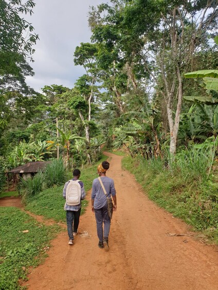 Picture 4 for Activity Materuni Waterfalls,Hot springs tour &/or coffee tour.