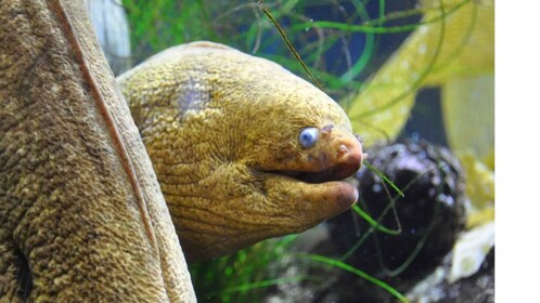 Los Angeles: Heal The Bay Aquarium in Santa Monica