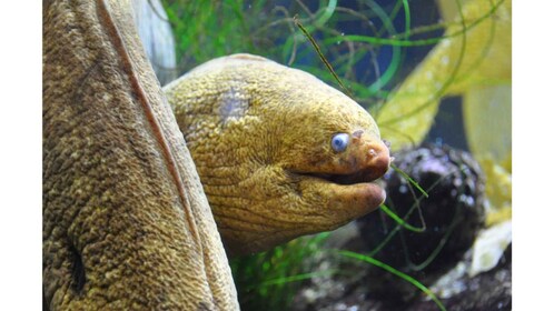 Los Angeles: Heal The Bay Aquarium in Santa Monica