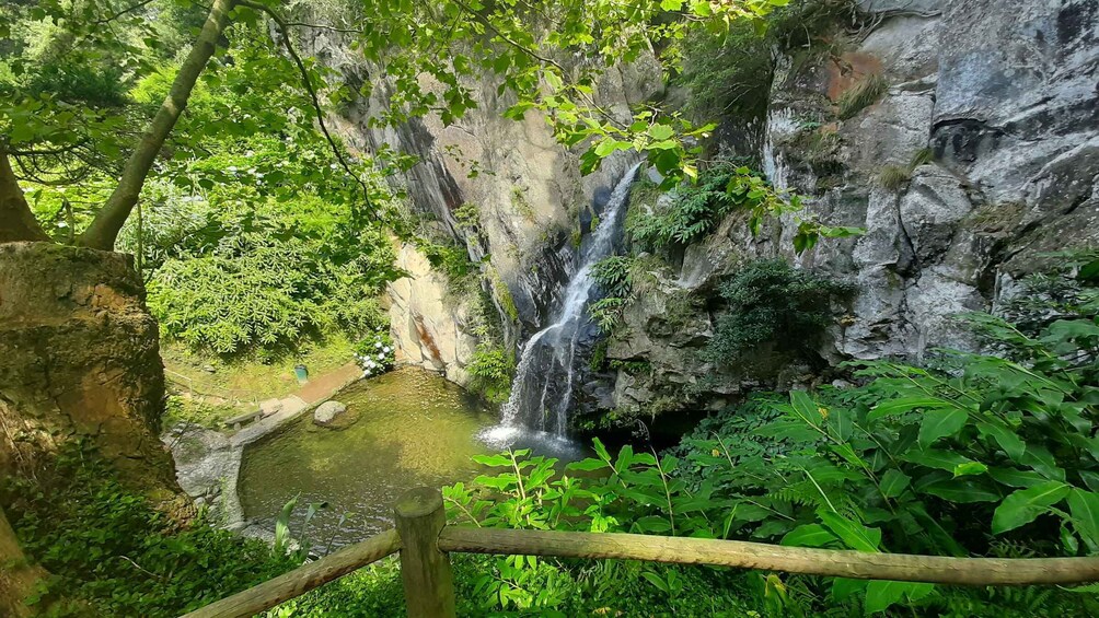 Picture 9 for Activity Azores: São Miguel Hike and snorkeling with a local
