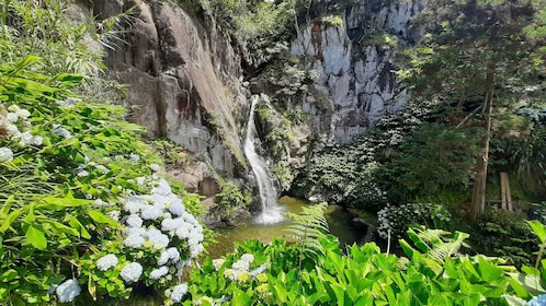 Azores: São Miguel Hike and snorkeling with a local