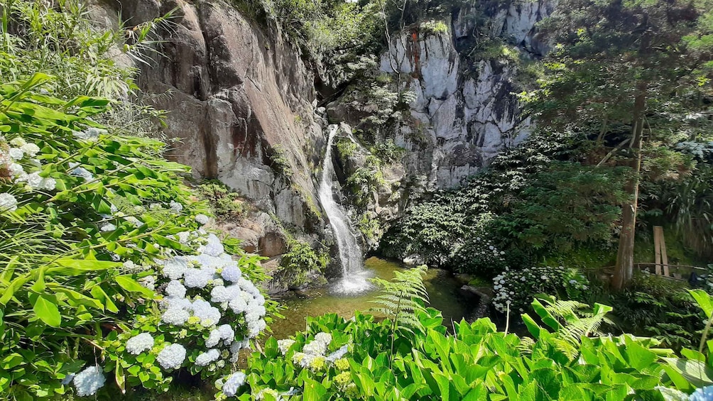 Azores: São Miguel Hike and snorkeling with a local