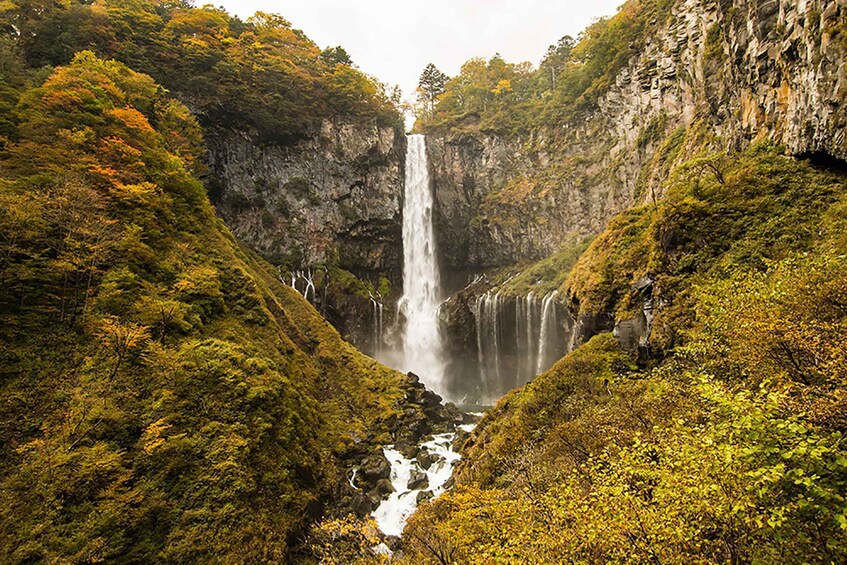 Picture 7 for Activity Tokyo: Nikko Toshogu Shrine and Kegon Waterfall Tour