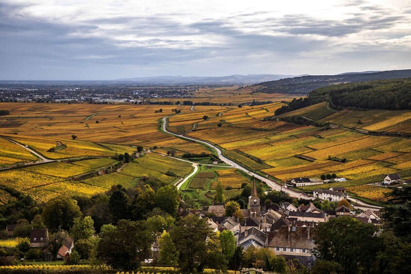 Small group Afternoon in Côte de Nuits