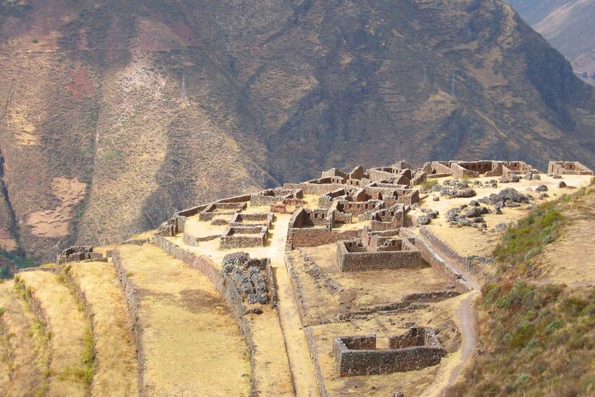 Picture 4 for Activity From Cusco: Private Pisac Ruins and Alpaca Farm Day Trip