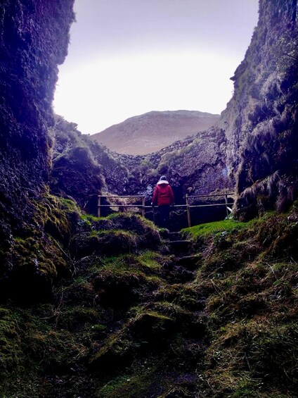 Picture 6 for Activity Pico island: Climb Mount Pico, highest mountain in Portugal