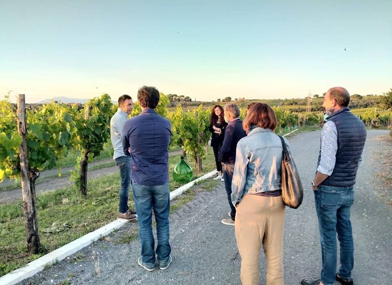 Frascati Vineyard's Guided Tour with Wine Tasting