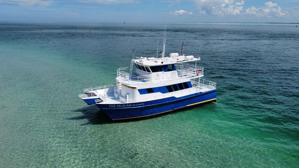 Picture 1 for Activity St. Petersburg, FL: 4-Hour Catamaran Cruise to Egmont Key