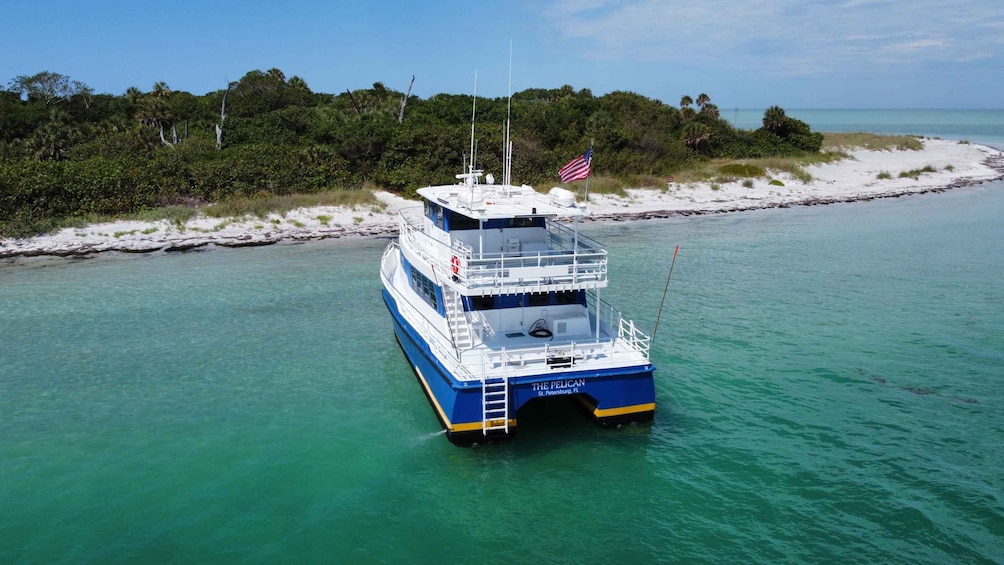 Picture 7 for Activity St. Petersburg, FL: 4-Hour Catamaran Cruise to Egmont Key