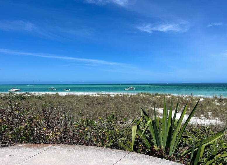 Picture 2 for Activity St. Petersburg, FL: 4-Hour Catamaran Cruise to Egmont Key