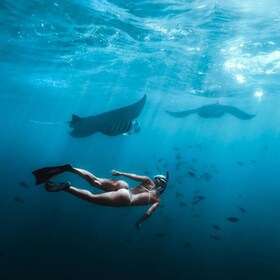 Nusa Penida Land Tour & Snorkeling With Manta Ray