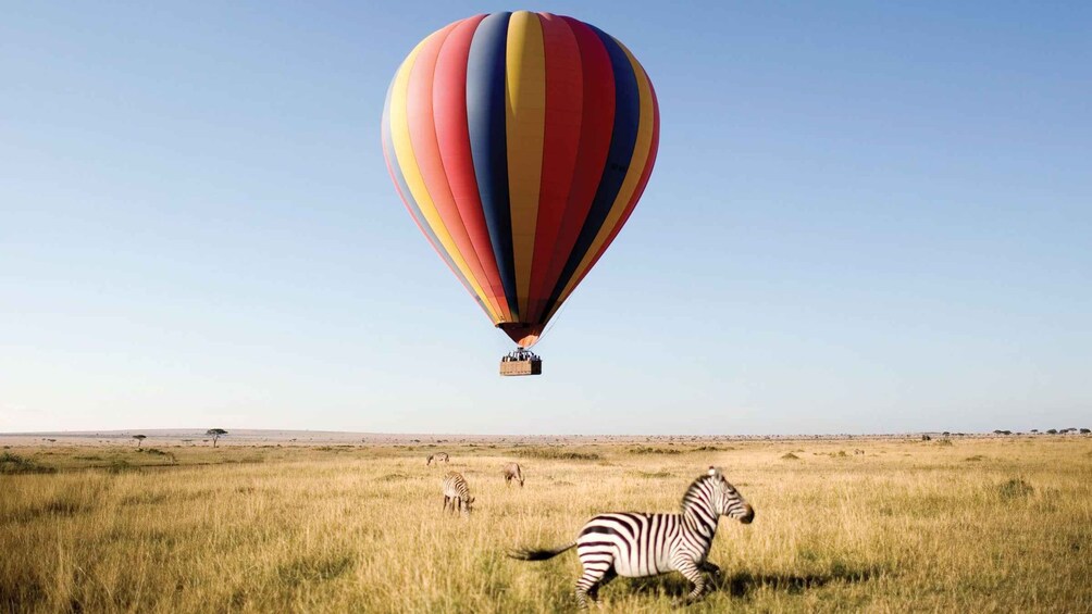 Picture 3 for Activity Hot Air Balloon Safari Maasai Mara with Champagne Breakfast