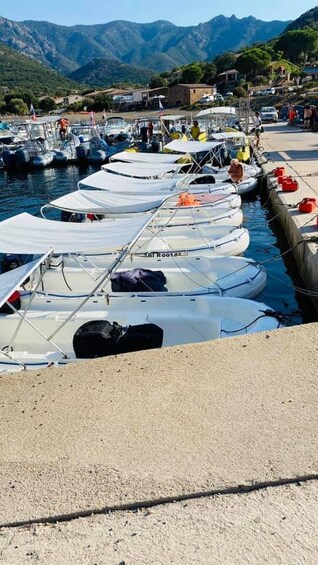 Picture 4 for Activity Galeria: Boat Rental ROTO 450S Family