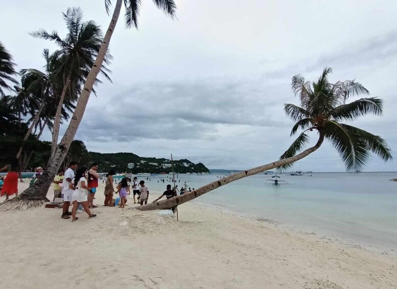 Picture 2 for Activity 2 Hours Boracay Land Tour via Etrike