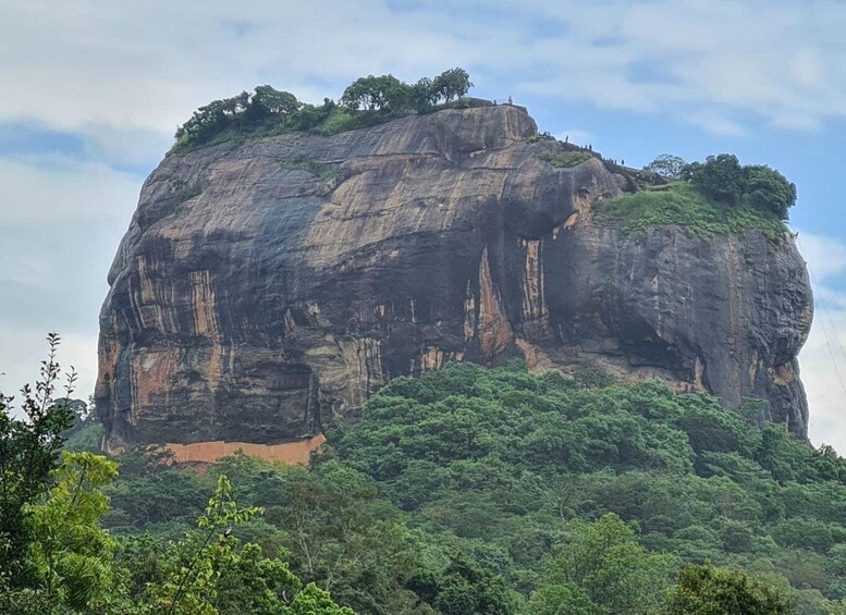 Picture 3 for Activity Sigiriya, Dambulla, and Village Safari Day Tour from Negombo