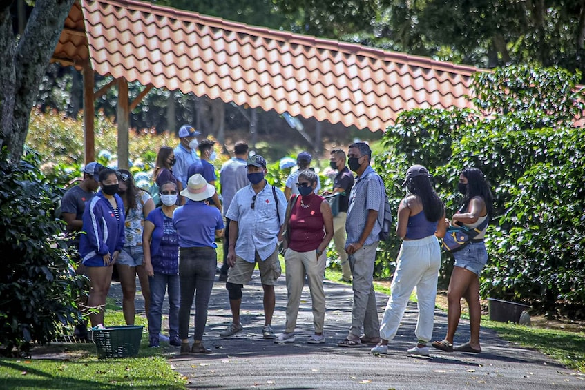 Picture 3 for Activity Alajuela: Coffee Plantation Guided Tour with Tasting