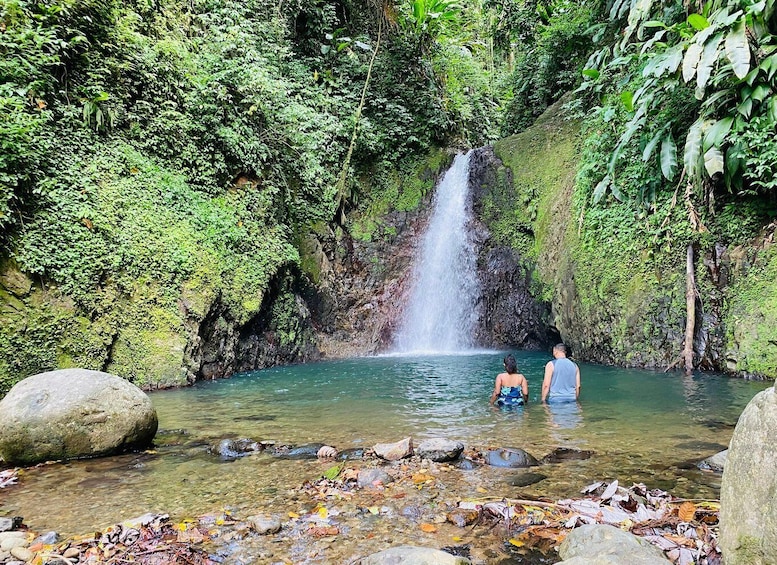 Hiking Adventure