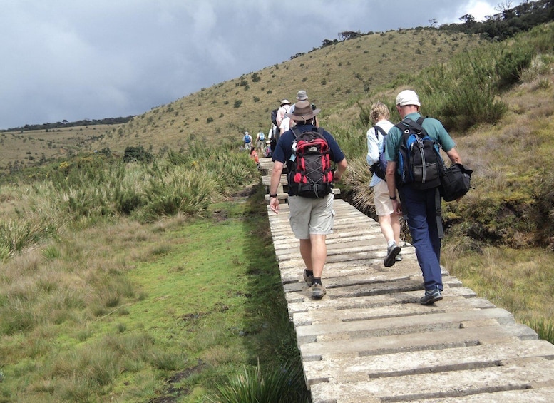 Picture 20 for Activity Trekking From kandy To Ella