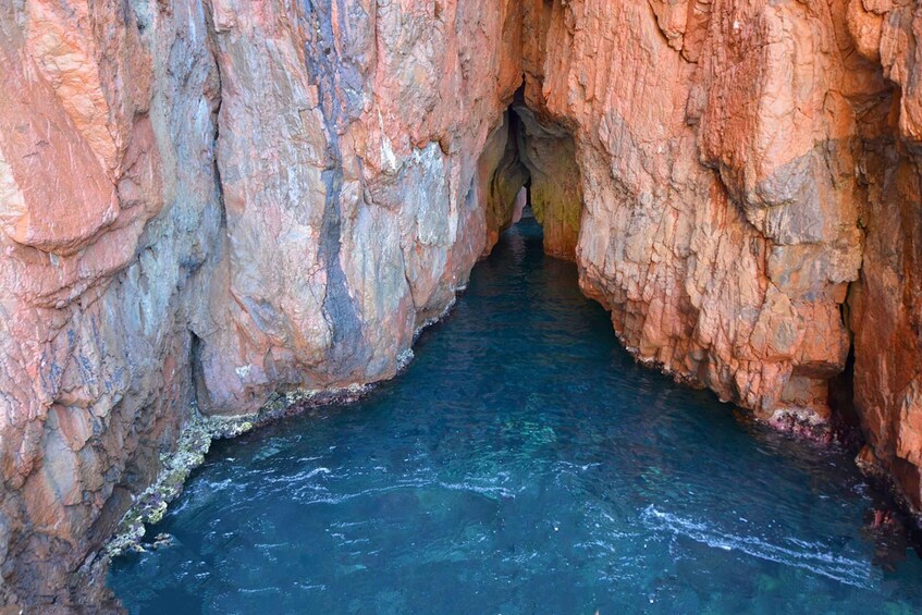 Picture 13 for Activity Cargèse: Calanques of Piana Capo Rosso Semi-Rigid Boat Tour