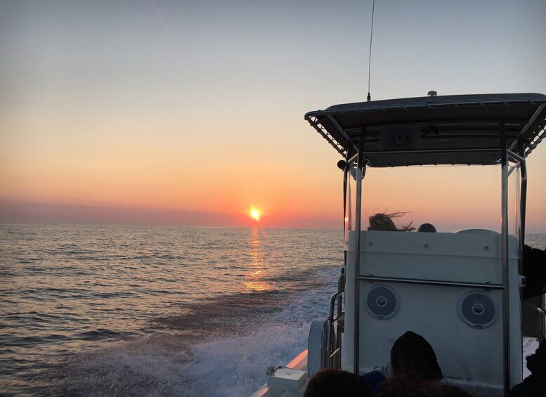 Picture 11 for Activity Cargèse: Calanques of Piana Capo Rosso Semi-Rigid Boat Tour