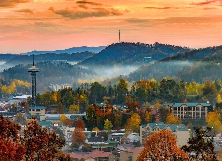 Picture 6 for Activity Great Smoky Mountains: Wildlife and Scenic Driving Tour