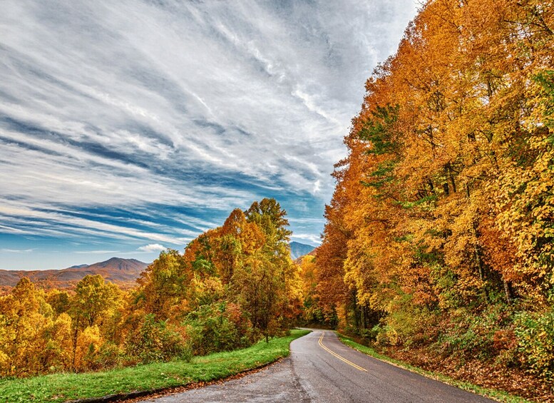 Picture 2 for Activity Great Smoky Mountains: Wildlife and Scenic Driving Tour