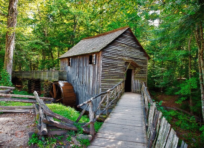 Picture 1 for Activity Great Smoky Mountains: Scenic Wildlife Self-Guided Drive