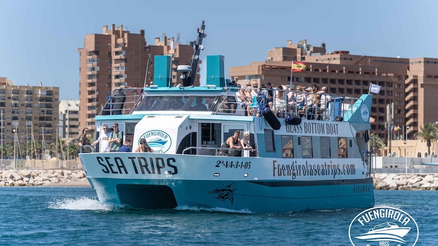 Fuengirola: Catamaran Tour to Spot Dolphins