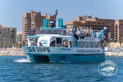 Fuengirola: Katamaran-Tour zur Delfinbeobachtung