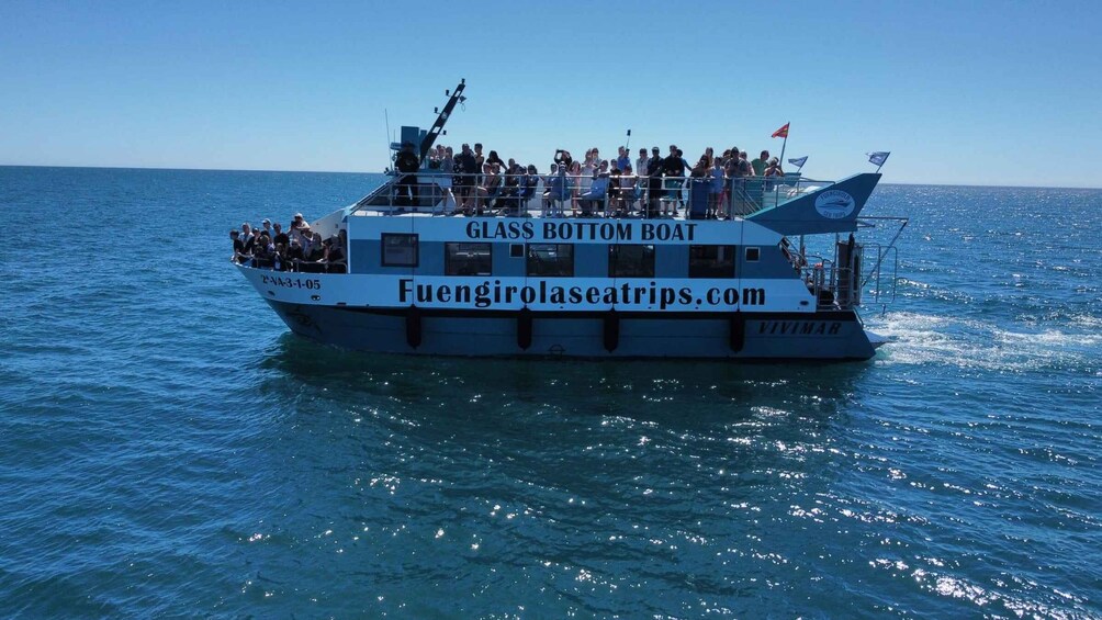 Picture 2 for Activity Fuengirola: Catamaran Tour to Spot Dolphins