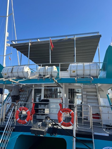 Picture 12 for Activity Fuengirola: Catamaran Tour to Spot Dolphins