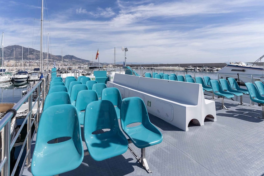Picture 8 for Activity Fuengirola: Catamaran Tour to Spot Dolphins