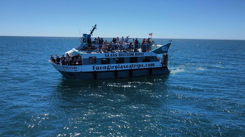 Picture 6 for Activity Fuengirola: Catamaran Tour to Spot Dolphins