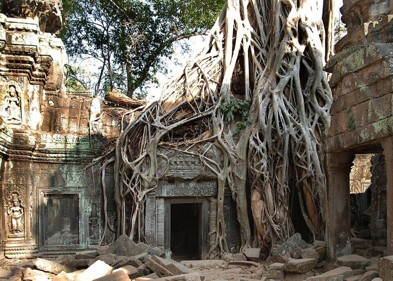 Picture 5 for Activity Amazing Cambodia 5 Days Private Tour Phnom Penh & Siem Reap