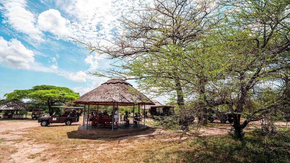 Picture 37 for Activity From Zanzibar: Selous Day Safari With Flights Included