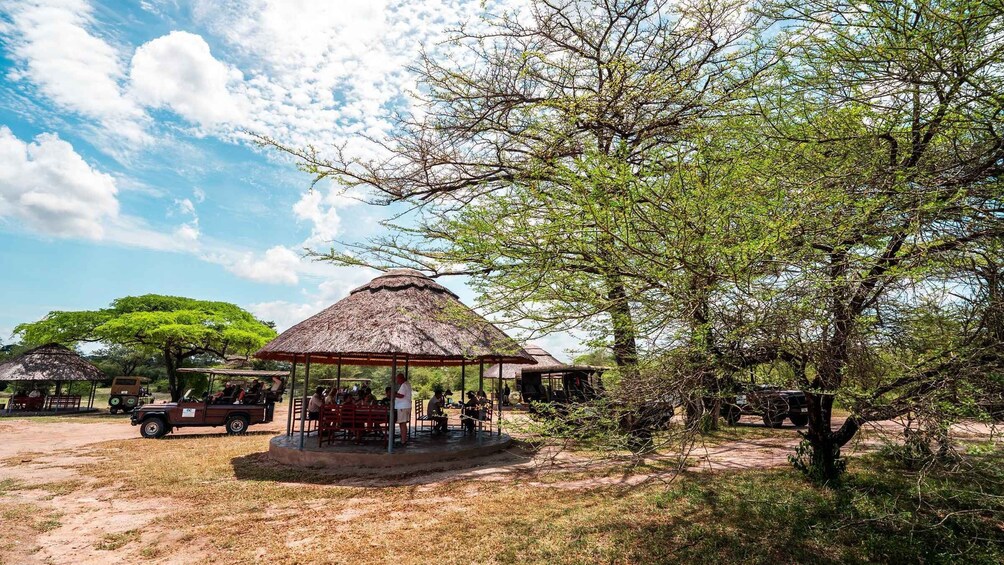 Picture 37 for Activity From Zanzibar: Selous Day Safari With Flights Included