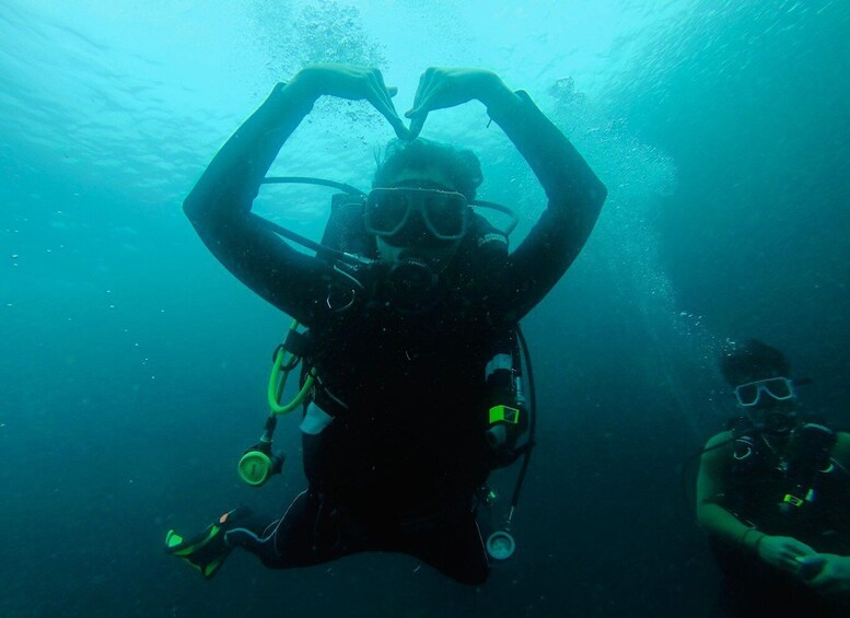 Picture 3 for Activity From Cebu City: Scuba Diving with Whale Sharks Trip in Oslob