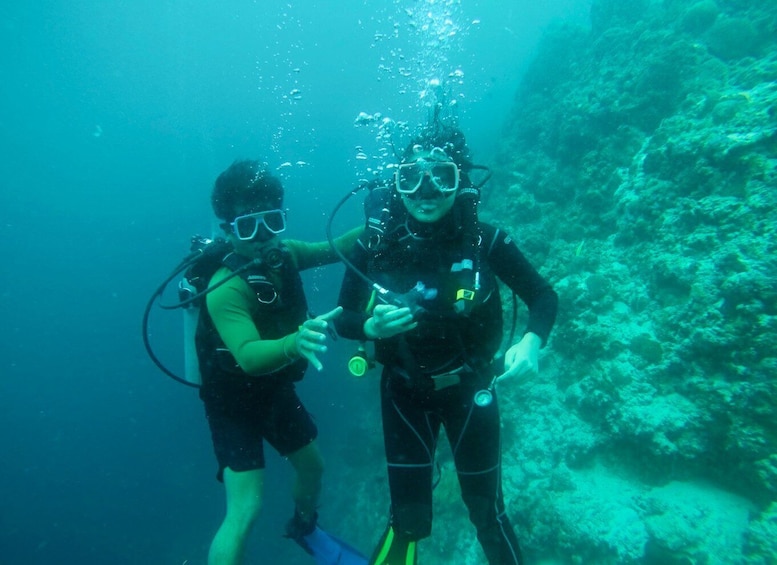 Picture 4 for Activity From Cebu City: Scuba Diving with Whale Sharks Trip in Oslob