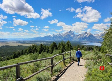 Taman Nasional Grand Teton: Perjalanan Megah yang Dipandu Sendiri