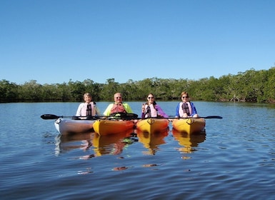 Fort Myers: Guided Sunset Kayaking Tour through Pelican Bay