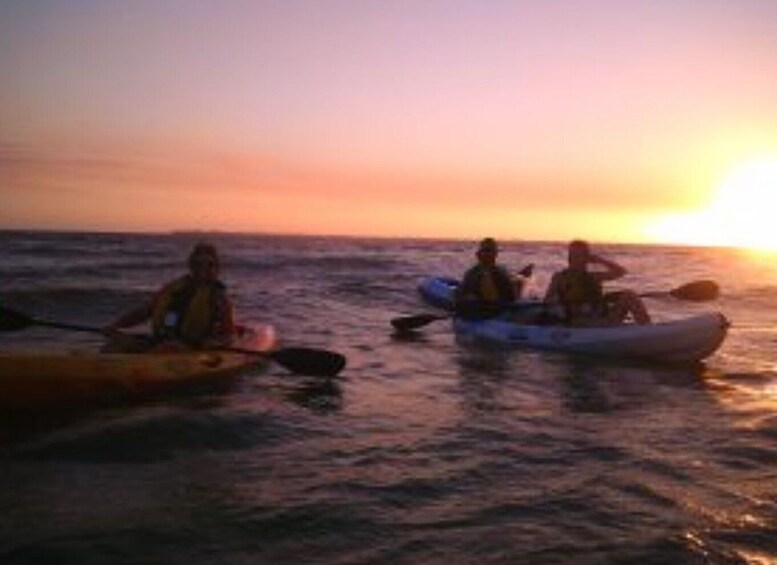 Picture 1 for Activity Fort Myers: Guided Sunset Kayaking Tour through Pelican Bay