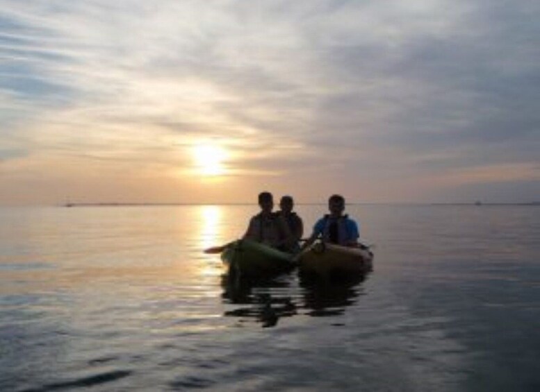Picture 3 for Activity Fort Myers: Guided Sunset Kayaking Tour through Pelican Bay