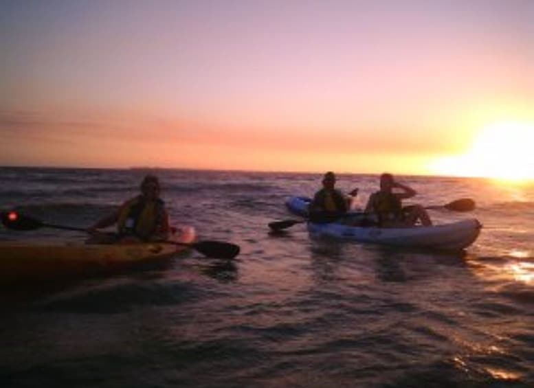 Picture 1 for Activity Fort Myers: Guided Sunset Kayaking Tour through Pelican Bay