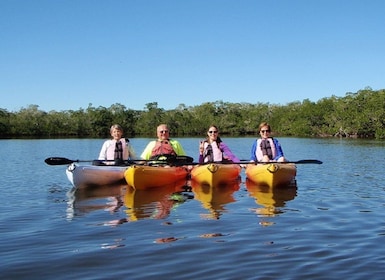 Fort Myers: Guided Sunset Kayaking Tour through Pelican Bay
