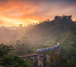 De- Nuwara Eliya Excursion d’une journée à Ella Highlights Tour