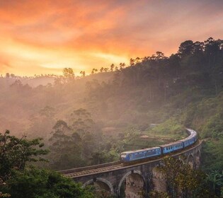 Desde- Nuwara Eliya Excursión de un día a Ella Highlights Tour