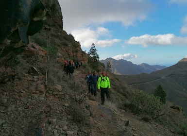 Las Palmas: Reserva Natural Inagua Gran Canaria Walking Tour