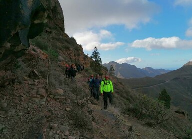 Las Palmas: Reserva Natural Inagua Gran Canaria Walking Tour