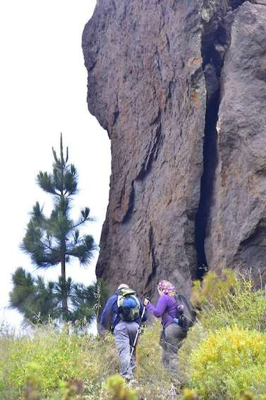 Picture 4 for Activity Las Palmas: Reserva Natural Inagua Gran Canaria Walking Tour