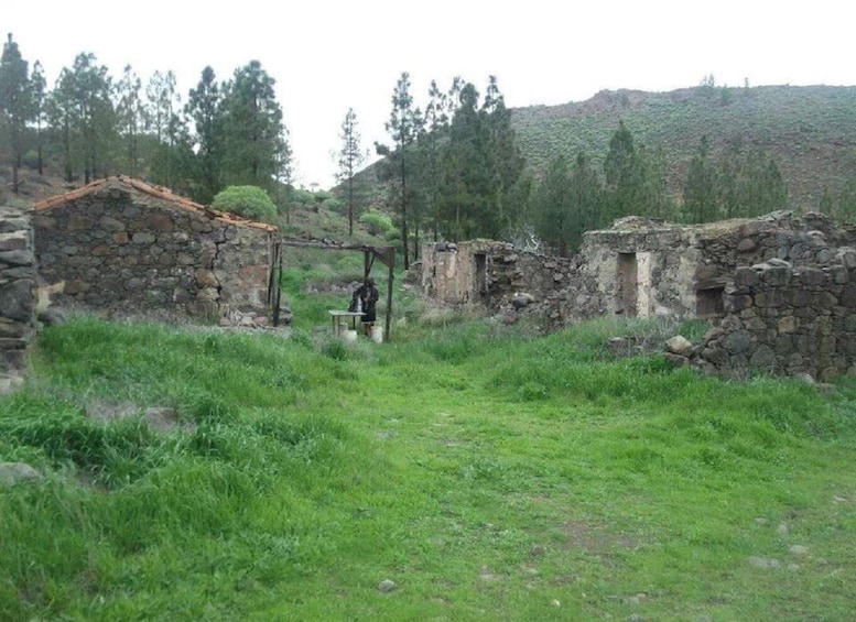 Picture 8 for Activity Las Palmas: Reserva Natural Inagua Gran Canaria Walking Tour